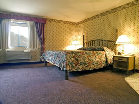 Saratoga Inn & Suites Cannon Falls 객실 사진